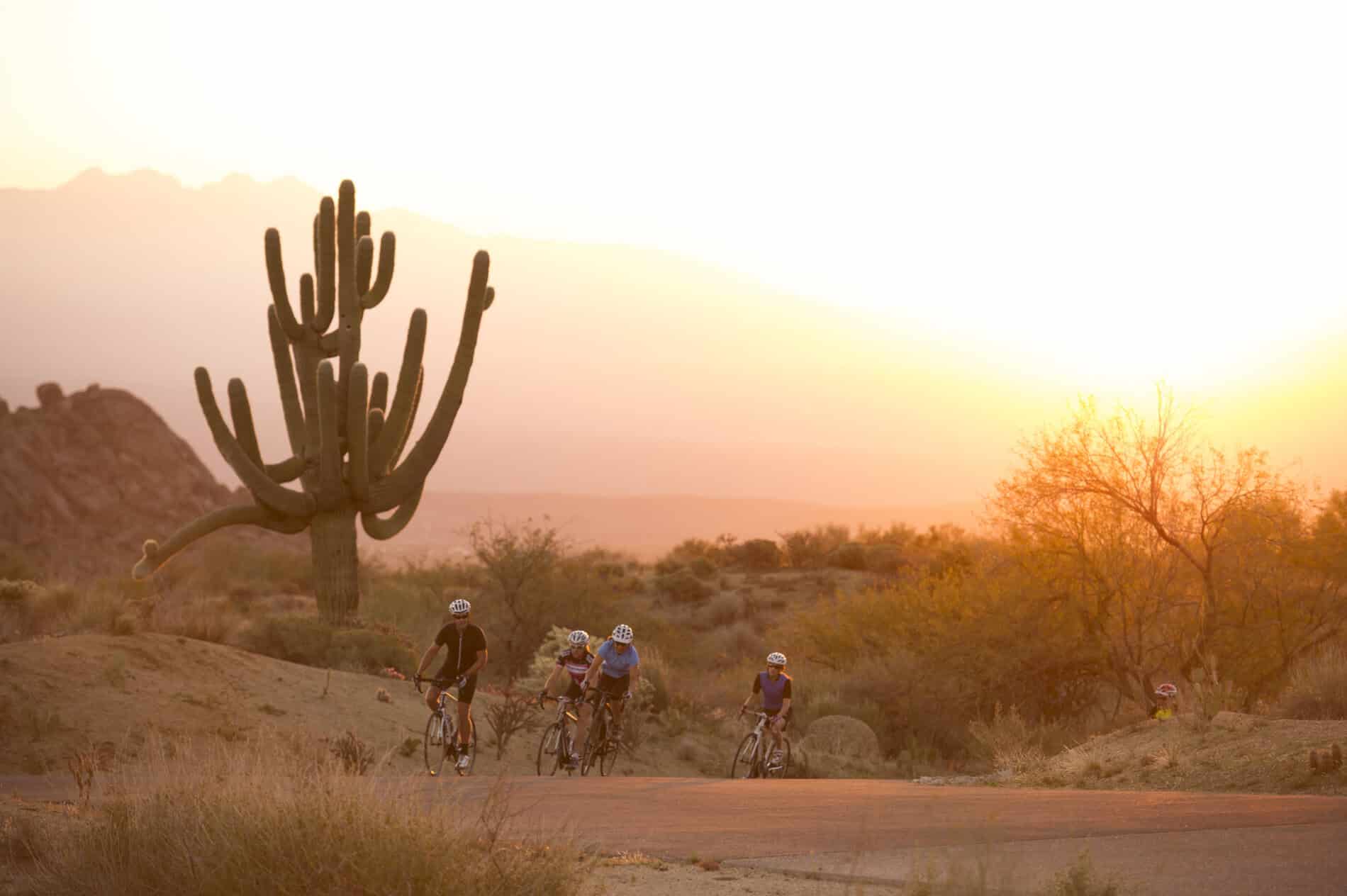 Biking Photo 2